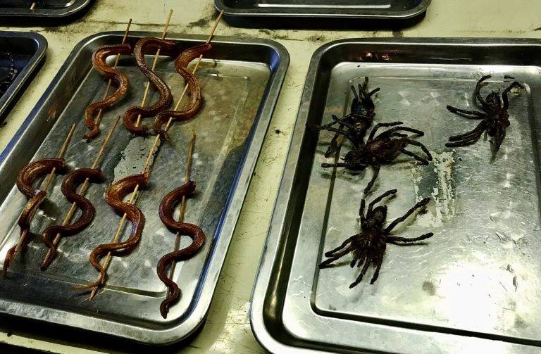 tarantulas and snakes in Cambodia