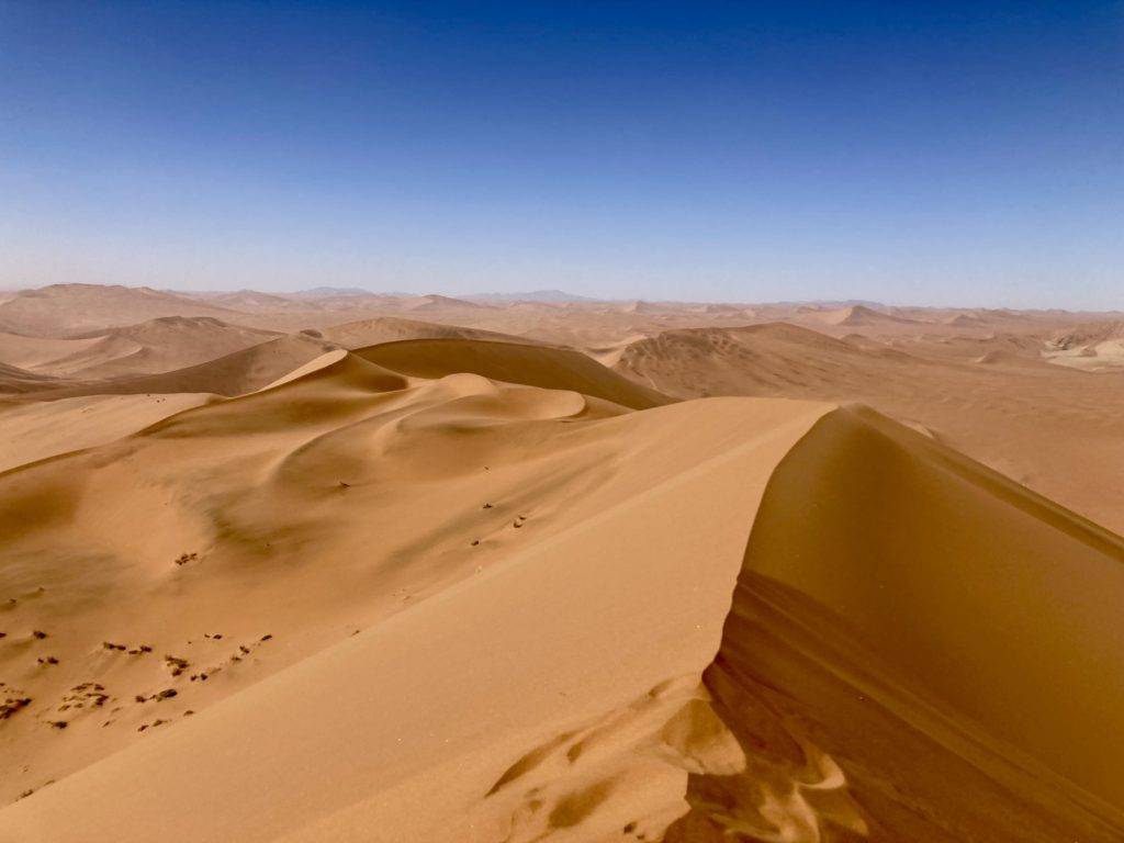 View from the top of Big Daddy Dune