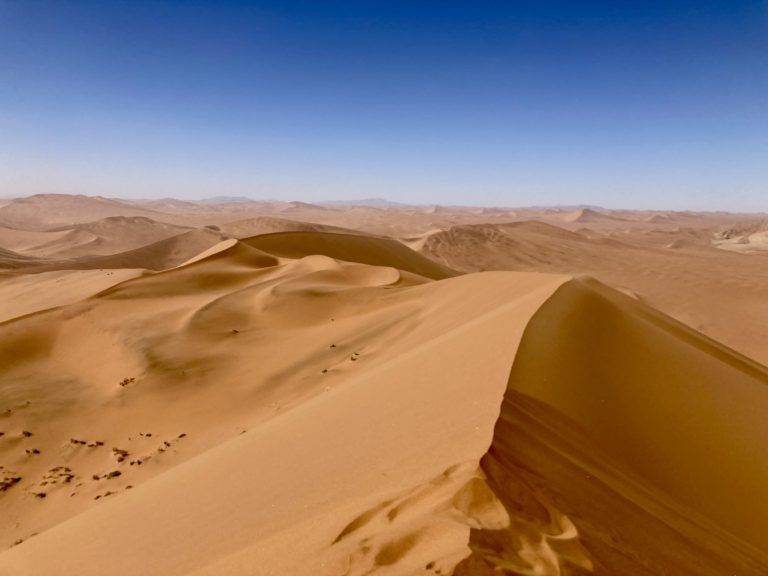 View from the top of Big Daddy Dune