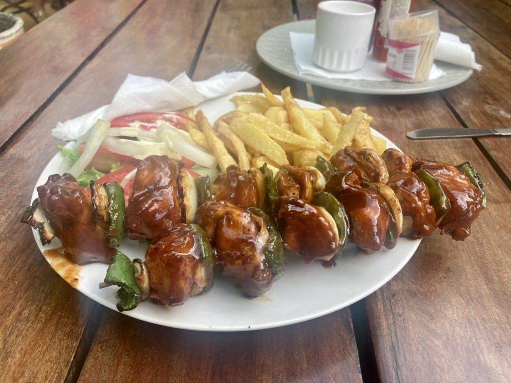 crocodile kebabs