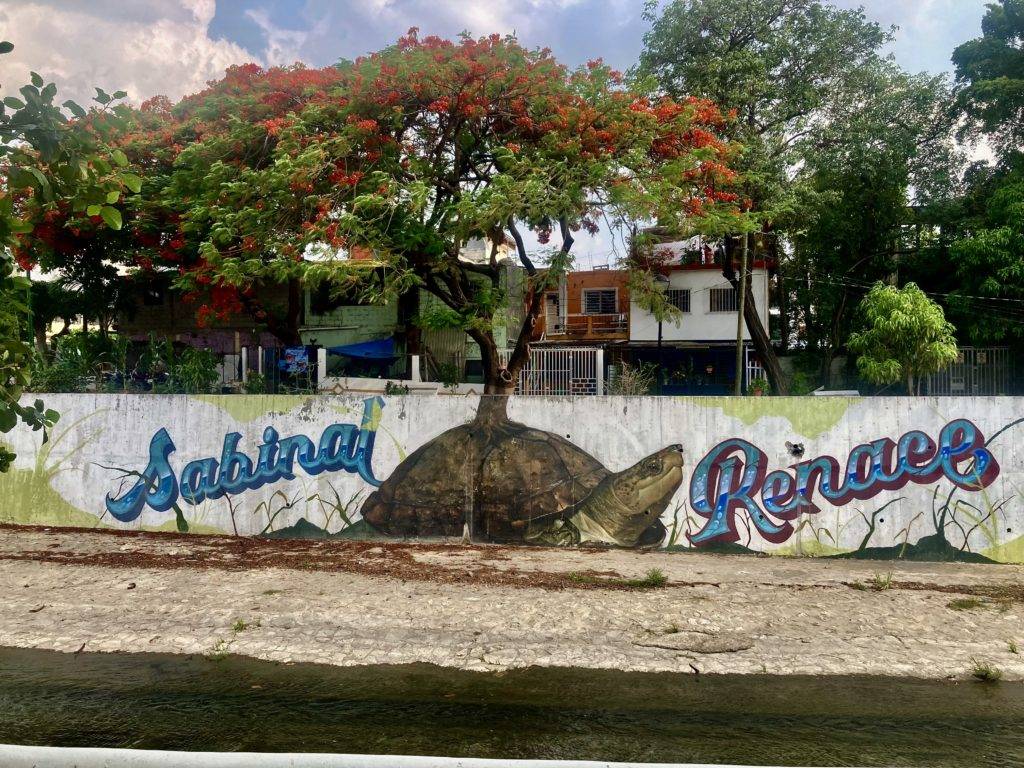 Artwork in Tuxtla Gutierrez