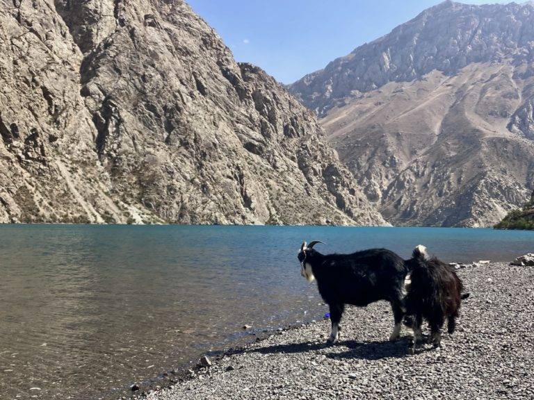 Lake 7