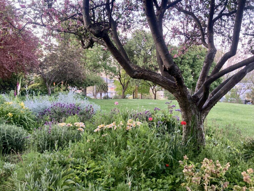 Princes Park Hobart