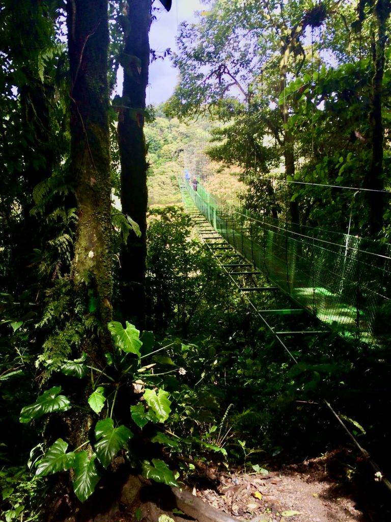 Monteverde hanging bridge