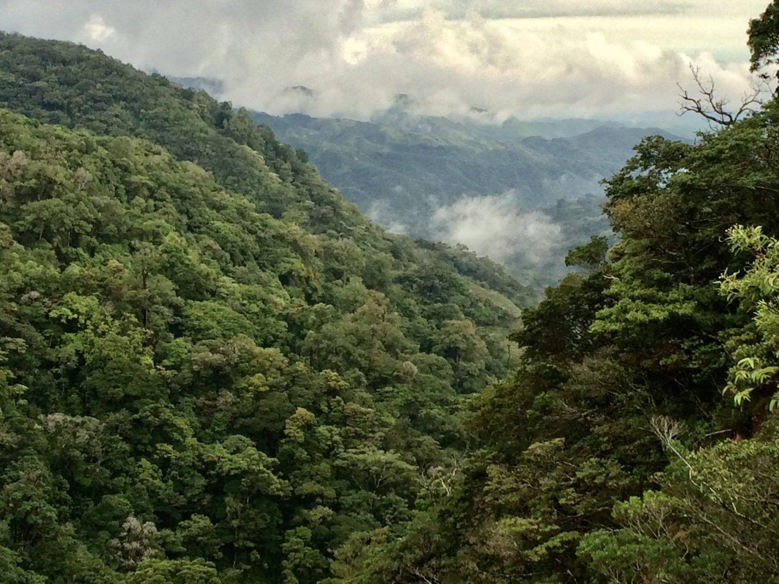 Extreme Sports in Monteverde, Costa Rica