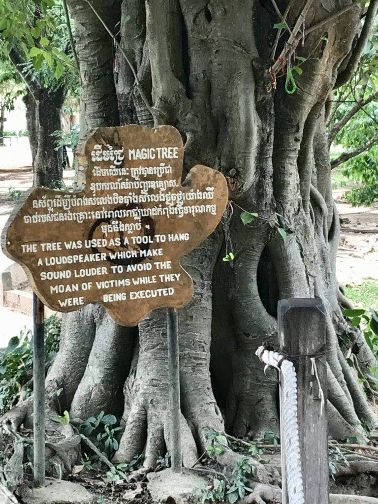 Choeung Ek Magic Tree