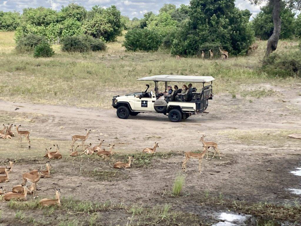 Chobe safari
