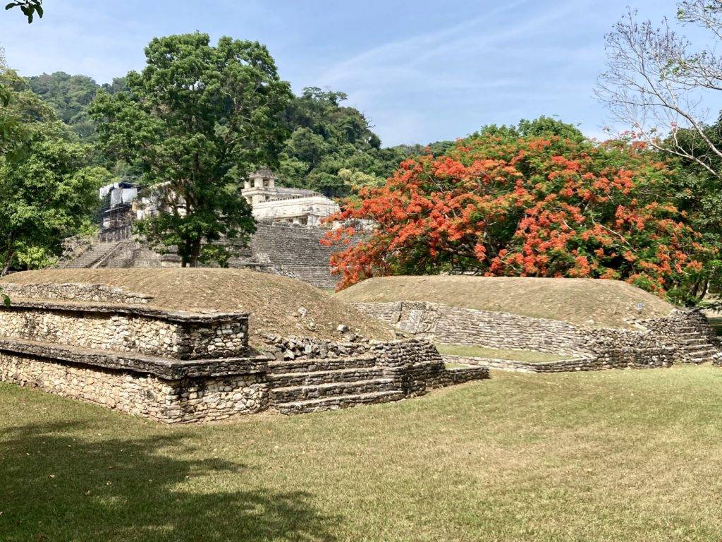 Palenque in the summer