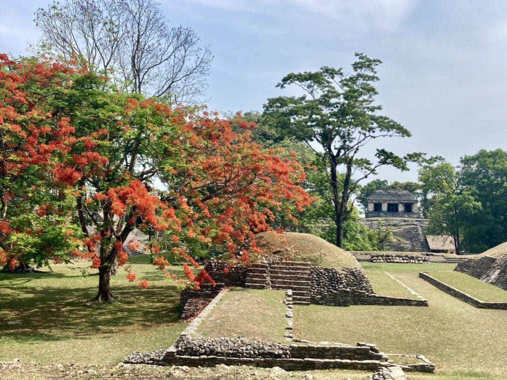 Ball Court in Palenque