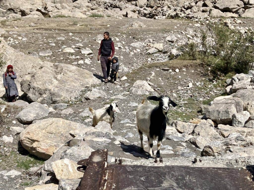 Goats Fann Mountains
