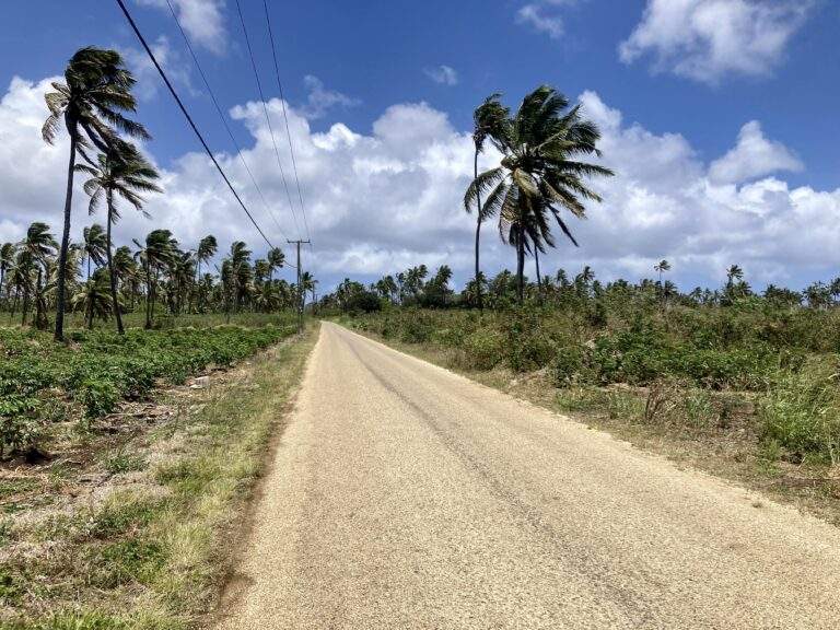 Road in Tonga