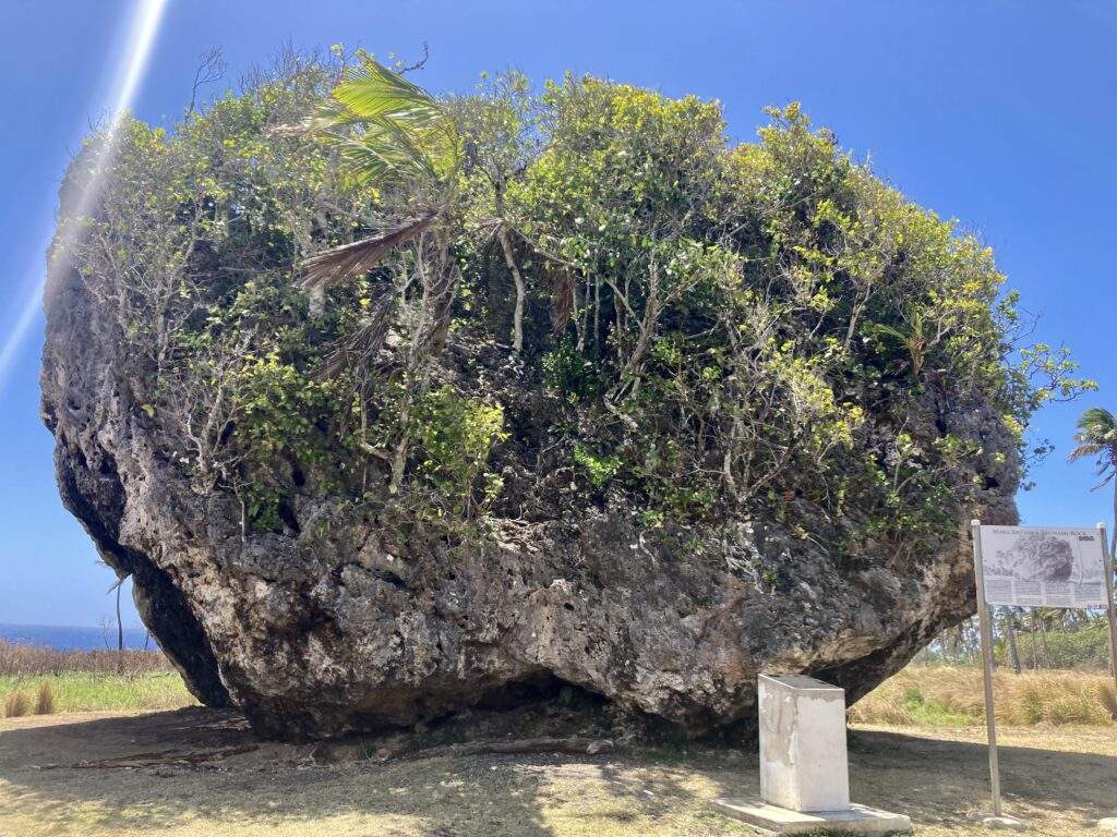 Tsunami Rock Tonga