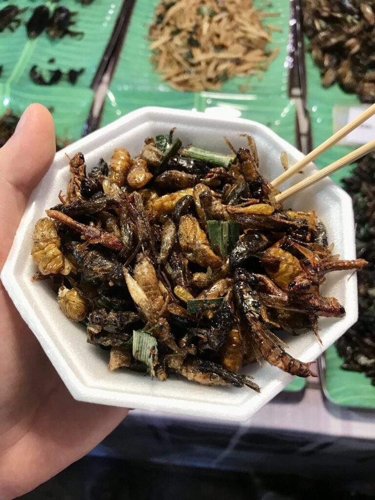 Bowl of Bugs